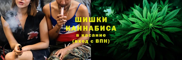ГАЛЛЮЦИНОГЕННЫЕ ГРИБЫ Кулебаки