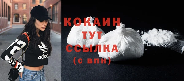прущие крисы Бородино