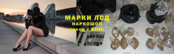 прущие крисы Бородино