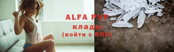 прущие крисы Бородино