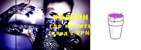 прущие крисы Бородино