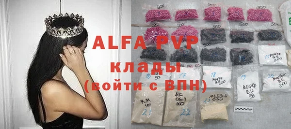 прущие крисы Бородино