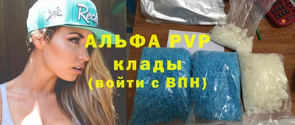 прущие крисы Бородино