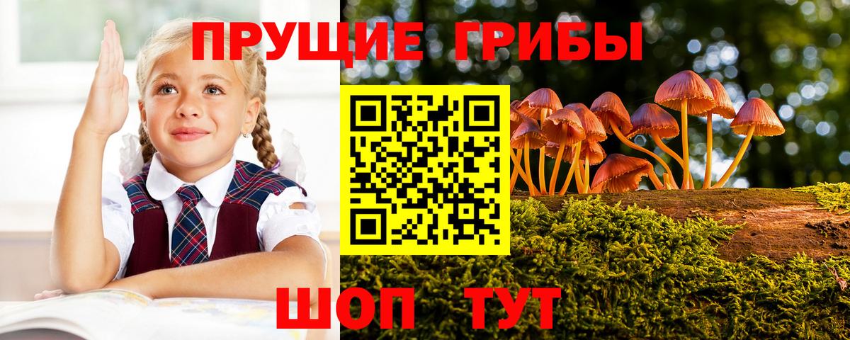 Псилоцибиновые грибы прущие грибы Выкса