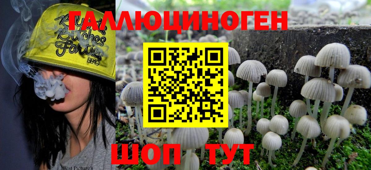 Псилоцибиновые грибы прущие грибы  Вход с VPN  Выкса 